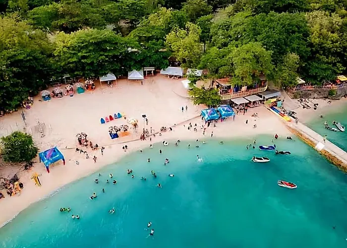 Mactan Newtown With Garden And Ocean View Leilighet
